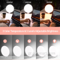 Powerfule Circle SAD Light Therapy Lamp for Depression